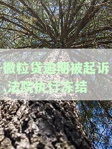 微粒贷起诉会冻结微信么，微粒贷被起诉是否会冻结微信账号？