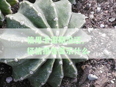 信用卡逾期上征信：多久能消除影响？
