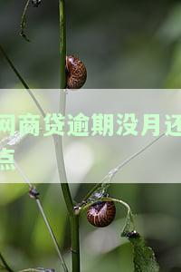网商贷逾期后面还了会影响信用吗，网商贷逾期还款后，会对信用产生影响吗？