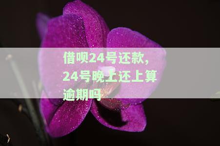 借呗24号还款,24号晚上还上算逾期吗，借呗24号还款，24号晚上还上是否算逾期？