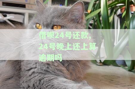 借呗24号还款,24号晚上还上算逾期吗