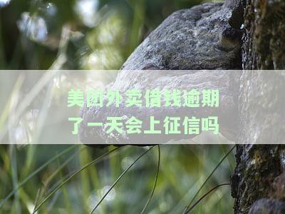 美团借钱逾期一天会不会对征信有影响信用卡使用，美团借钱逾期一天会对征用卡使用产生影响吗？