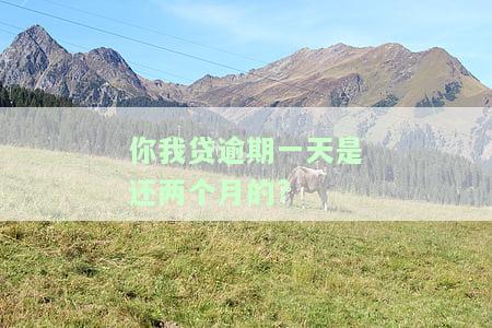 你我贷逾期一天是否需要还两个月的钱？
