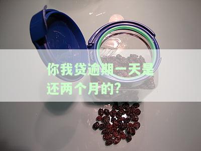 你我贷逾期一天会如何影响征信与信用？