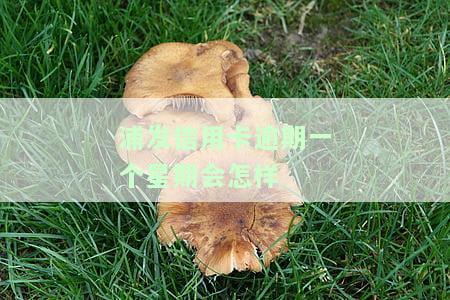 浦发银行信用卡逾期一天会影响征信吗？