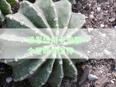 浦发逾期一个月,能不能还最低还款，浦发信用卡逾期一个月，能否仅还最低还款额？