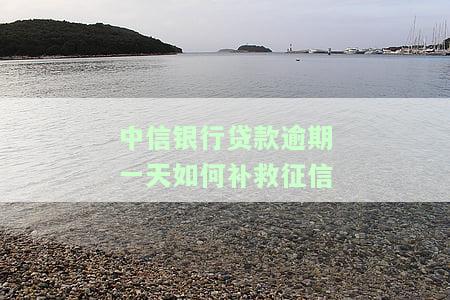 中信银行贷款逾期一天：如何补救征信记录？