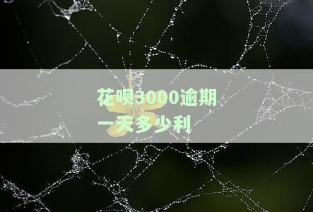 花呗逾期3000块钱逾期六个月会被起诉吗，逾期6个月，花呗3000元会面临被起诉的风险吗？
