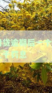 网贷逾期后一个月几千罚息多少，警惕高额罚息！网贷逾期一个月，数千元罚款如何计算？