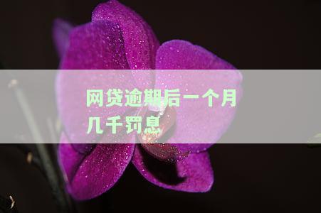 网贷逾期后一个月几千罚息-网贷逾期后一个月几千罚息多少