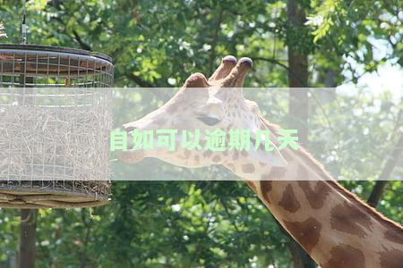 自如逾期几天上门清退：如何应对及避免被清退？