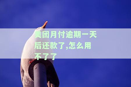 美团月付逾期两天后还款了，为何仍无法使用？