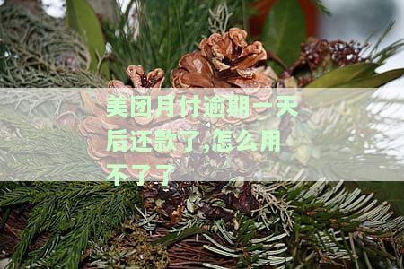 美团月付逾期一天还可以期还款吗，美团月付逾期一天，是否可以申请期还款？
