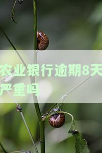 农业银行逾期8天严重吗怎么办，你的农业银行贷款逾期8天了？别担心，这里有解决方案！