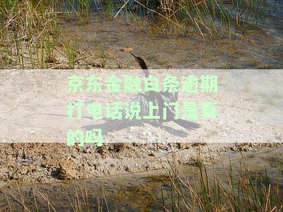 京东金融白条逾期：真的会打电话说上门吗？安全吗？