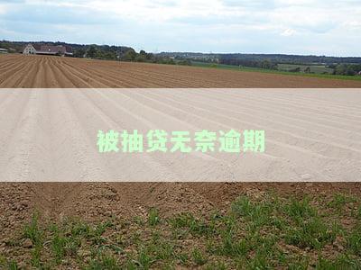 被抽贷无奈逾期怎么办？解决办法全攻略