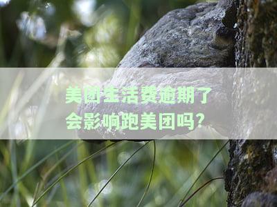 美团生活费逾期是否会影响跑美团外卖？安全性如何？