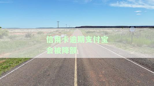 支付宝信用卡逾期会怎么样，警惕！支付宝信用卡逾期可能带来的严重后果
