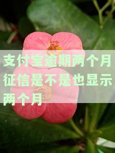 支付宝逾期两个月，征信是否显示两个月？逾期会影响信用记录吗？