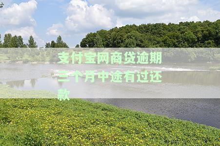 支付宝网商贷逾期三个月中途有过还款-支付宝网商贷逾期三个月中途有过还款影响吗