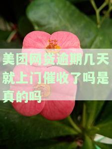 美团借的钱逾期未还，他们说要上门催收，该怎么办？
