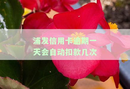 浦发信用卡逾期一天会自动扣款几次吗，如何避免浦发信用卡逾期？每天会被自动扣款几次？