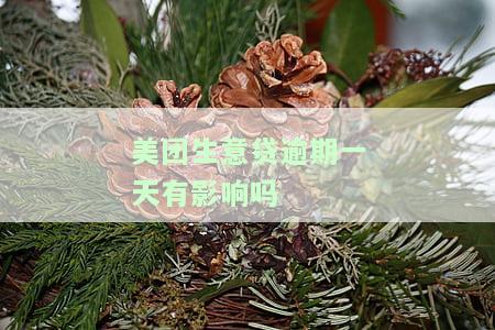 美团生意贷逾期一天有影响吗-美团生意贷逾期一天有影响吗知乎