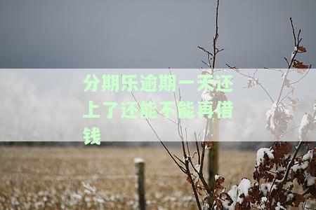 分期乐逾期一天还了会不会影响信用，分期乐逾期一天还款会影响信用吗？