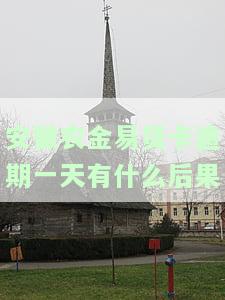 安徽农金易贷卡逾期一天会有什么后果？安全性如何？