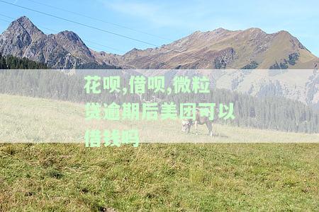 花呗、借呗、微粒贷逾期后，美团能否安全借款？