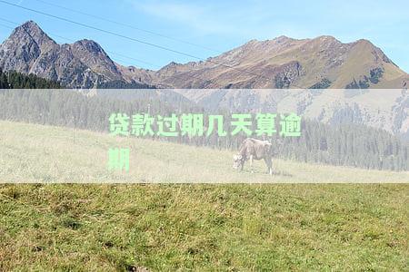 贷款到期几天算逾期？超期处理方法详解