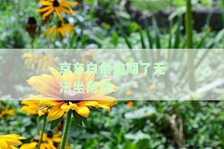 逾期能坐上飞机么，逾期会影响乘坐飞机吗？