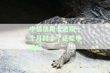 中信信用卡逾期一个月封卡了还能申请吗怎么办，中信信用卡逾期一个月被封卡，如何重新申请？