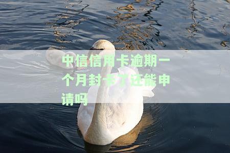 中信信用卡逾期一个月封卡了还能申请吗-中信信用卡逾期一个月封卡了还能申请吗