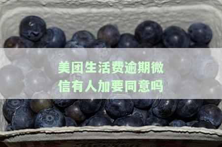 美团生活费逾期会给所有联系人发信息吗，美团生活费逾期：是否会通知所有联系人？
