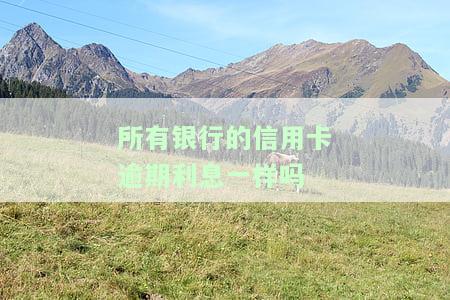 2021年信用卡逾期利息的最新规定，深度解析：2021年信用卡逾期利息最新规定，你不可不知！