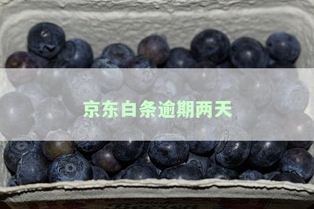 、花呗逾期：两天是否会上征信？后果是什么？已逾期2天如何处理？