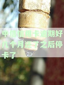 中信信用卡逾期好几个月还了之后停卡了有影响吗，中信信用卡逾期数月后还款，卡片被停用会有何影响？