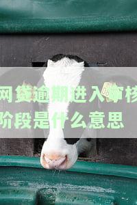 网贷逾期进入审核阶是什么意思呀，解读网贷逾期进入审核阶的含义