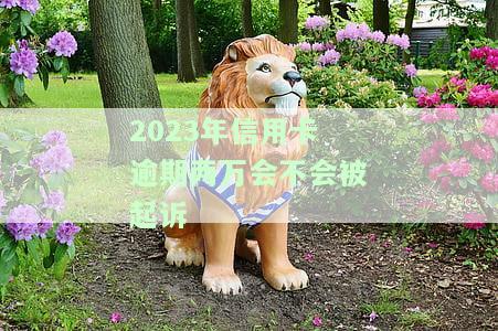 2021年信用卡逾期2万会坐牢吗，2021年信用卡逾期两万元是否会被判刑？
