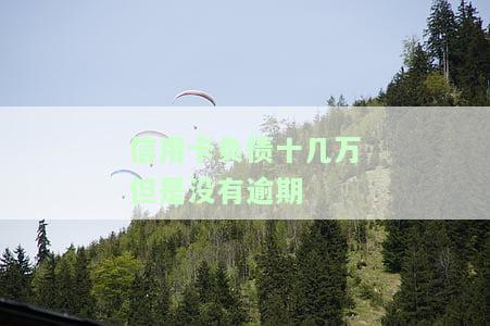 信用卡负债十几万但未逾期的影响：如何处理多张高额债务？