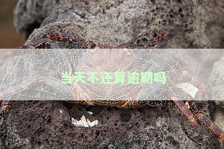 当天没还款次日还款算逾期吗，逾期解读：当天未还款，次日还款是否算逾期？