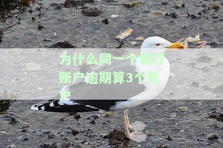 一个账户逾期1次影响大吗？全面解析逾期对信用的影响
