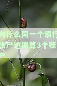 一个银行逾期会不会影响别的信用卡，逾期还款：一个银行的欠款是否会影响其他信用卡？