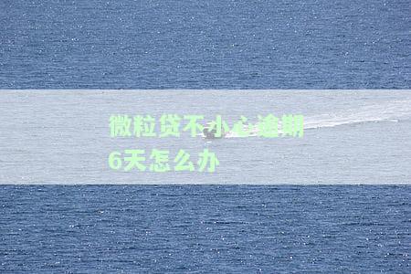 微粒贷不小心逾期6天怎么办呢，出现微粒贷逾期6天的情况，应该怎样处理？