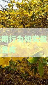 报送逾期信息会通知吗？如何处理逾期信息报送问题？