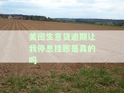 美团生意贷逾期让我停息挂账是真的吗