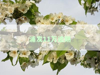 浦发逾期多久会要求一次性还清所有欠款？