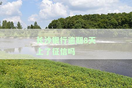 长沙银行逾期8天上了征信吗