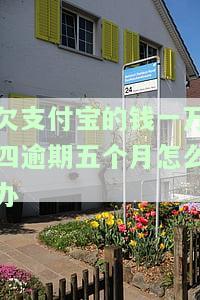 欠支付宝的钱一万四逾期五个月怎么办？会起诉吗？